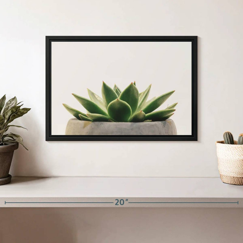 Plante grasse en pierre, Cadre flottant noir, 13 po x 9 po