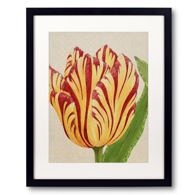 Fire Tulip Print by Karen Sikie