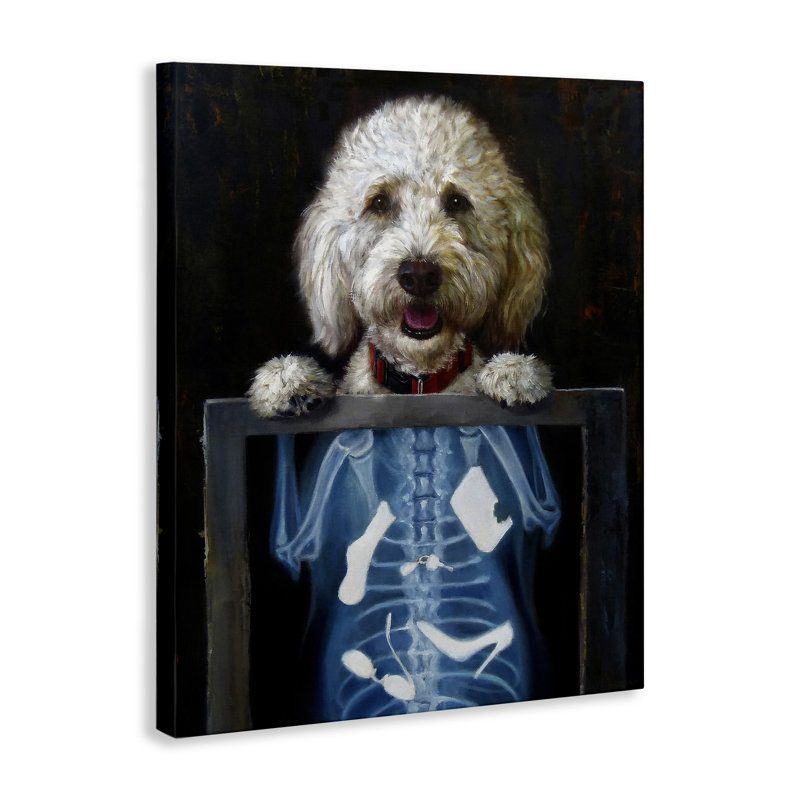 " Funny Dog X-Ray Snacks " by Lucia Heffernan, 20" H x 16" W x 1.5" D