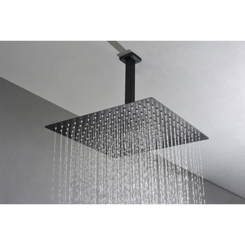 Pomme de douche 16 po noir mat