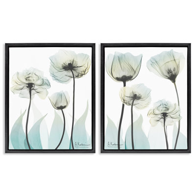 Ensemble de cadres flottants 2 pièces Luxury Of Creation Flowers, design par Albert Koetsier