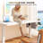 Electric Height Adjustable Standing Desk With Storage, Home Office Computer Desk With Led Lights-1689909275-1689909278-1689909264