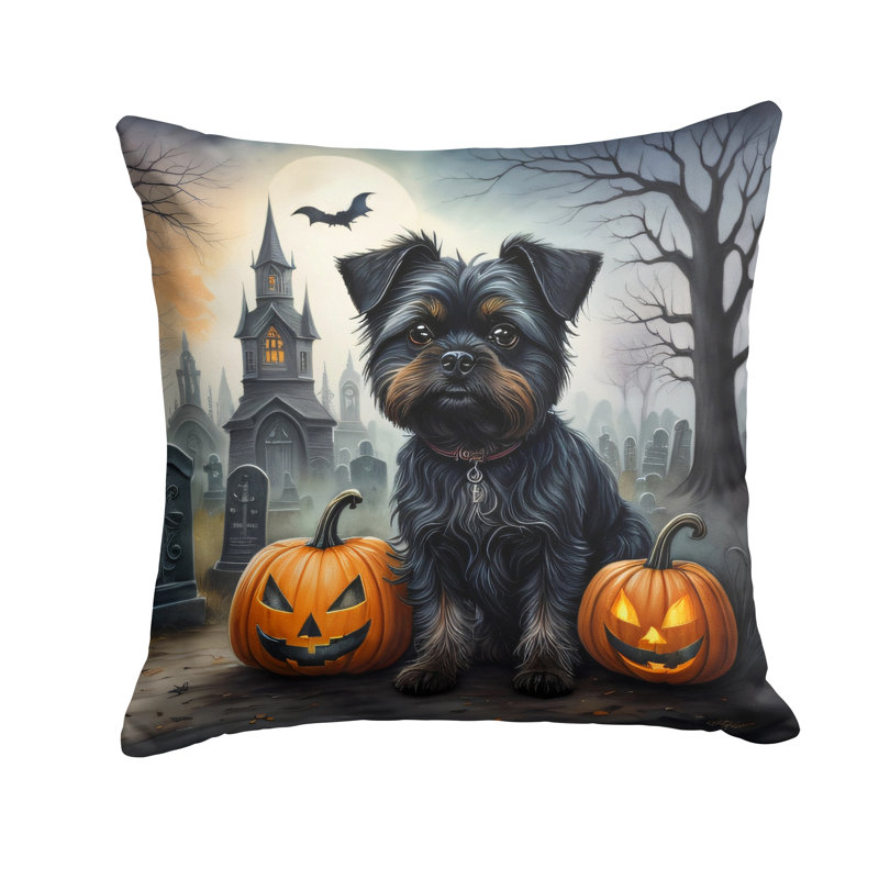 Other/No Pattern Outdoor Throw Pillow, 14" x 14"