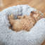 Lit rond rond pour chien Four Seasons