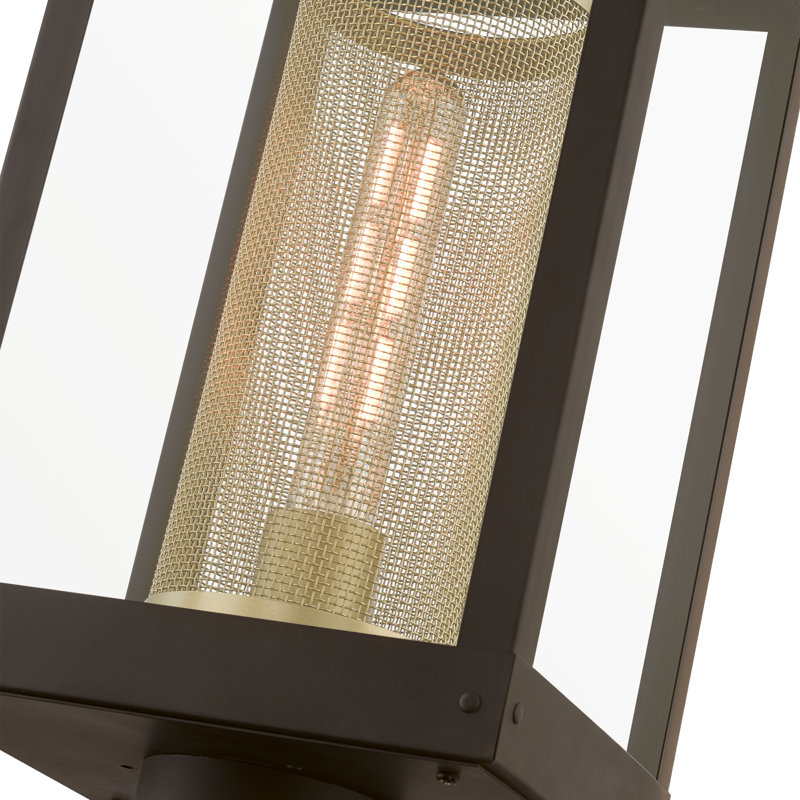 Tête de lanterne câblée à 1 lumière de 19 po Arlia