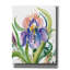 «Epis Graffiti», Wild Iris par Kristy riz, art mural sur toile-106171602