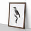Nutcracker Bird by Jacques Barraband - Picture Frame Painting Print-55576950-55576951
