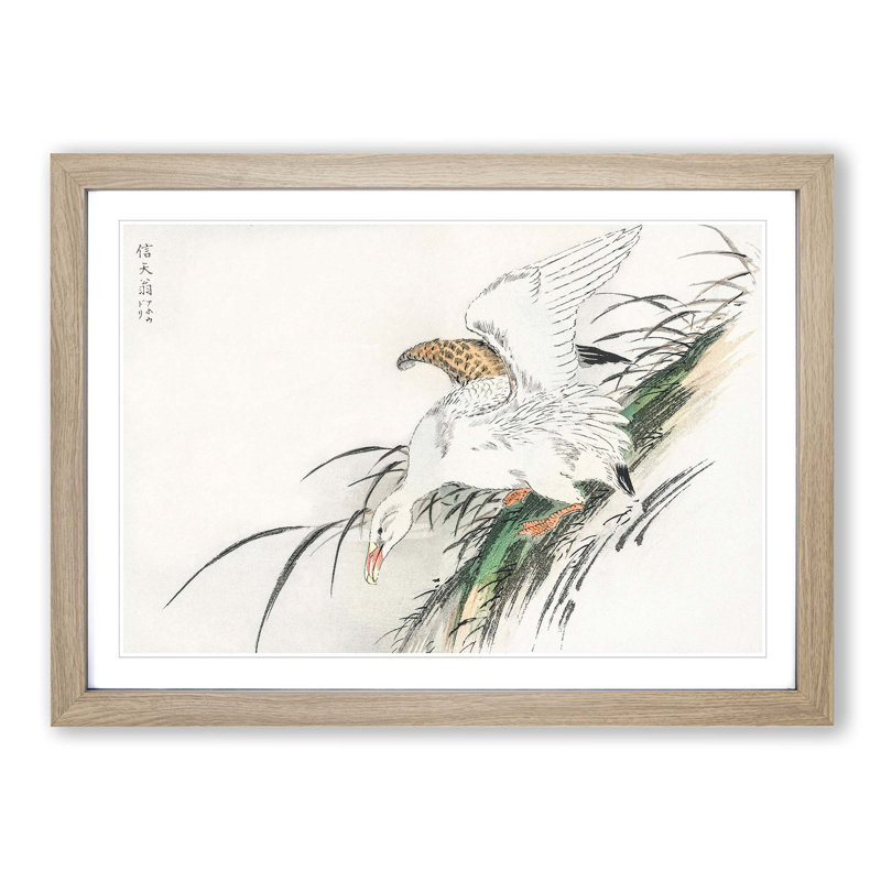 Albatross by Numata Kashu - Picture Frame Painting Print, Oak Framed, 48cm H x 65cm W x 2cm D