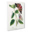 Caterpillars & Butterflies - Wrapped Canvas-55370649