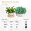 Grand pot à fleurs K22-114407583-114407585