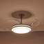 Ventilateur de plafond à DEL moderne de 42 pouces avec lumière et télécommande