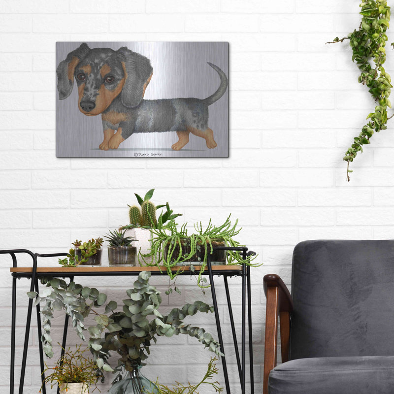 «Dappled Dachshund Walking» par Danny Gordon, H 12 po x l 16 po