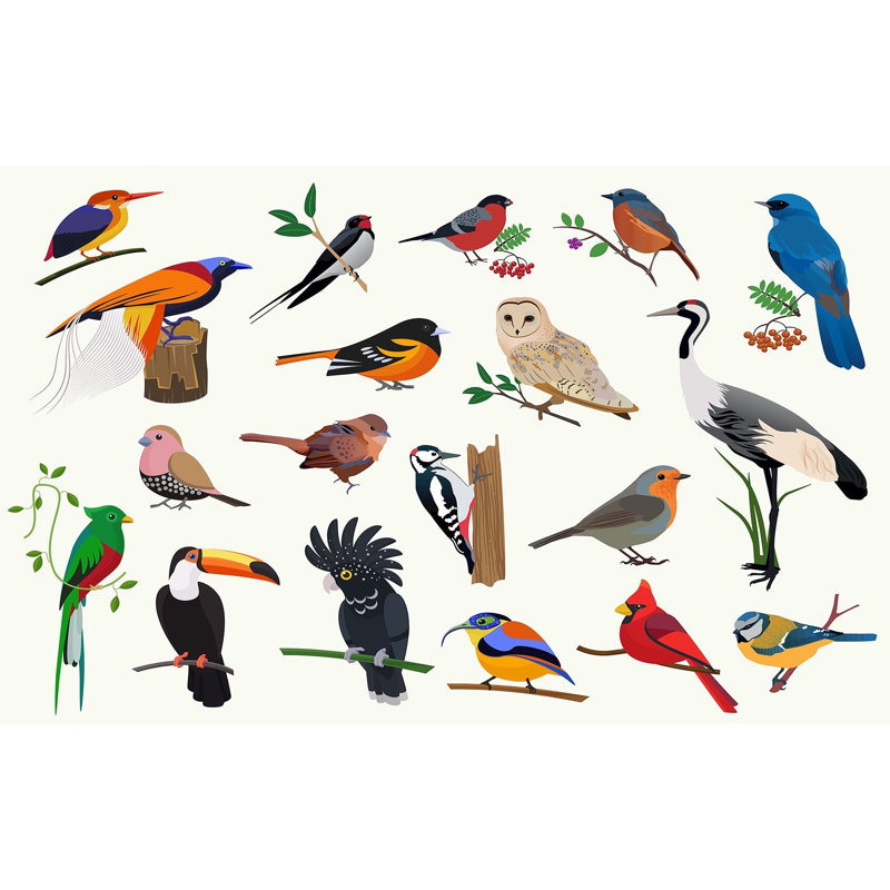 Murale pelez et collez de qualité supérieure - Illustration d'oiseaux colorés, L 120 po x l 180 po