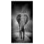 «African Elephant in Dark Artwork», reproduction d'impression sur toile tendue-29496719