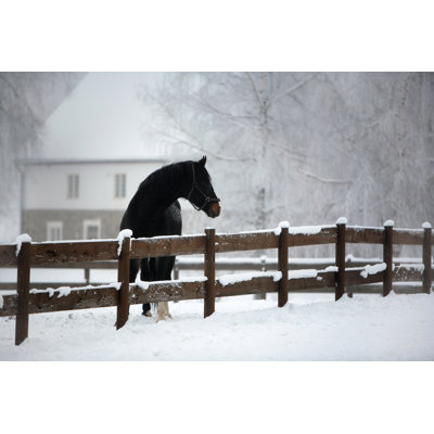 «Black Horse» par Imantsu - photographie sur toile tendue