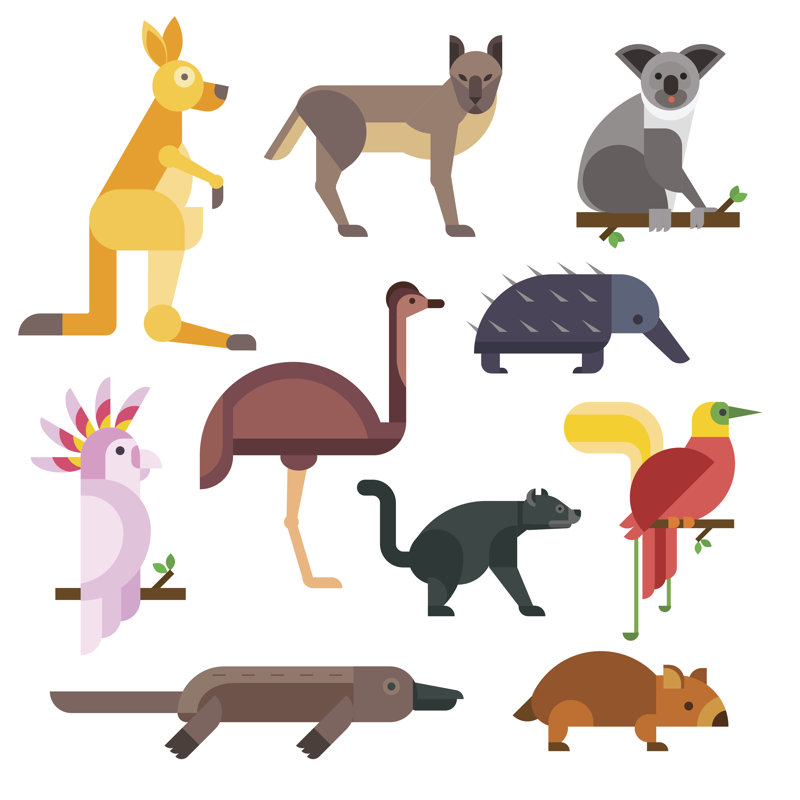 Australia Wild Animals by Adekvat - Wrapped Canvas Print, 122cm H x 122cm W x 3.8cm D