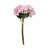 Rose sélectionné