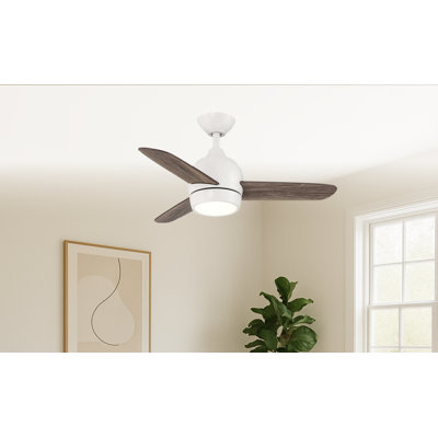 Avalanna 36'' Ceiling Fan with LED Lights