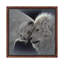 Lion Love by Collin Bogle - Print on Canvas-5729801-30248205