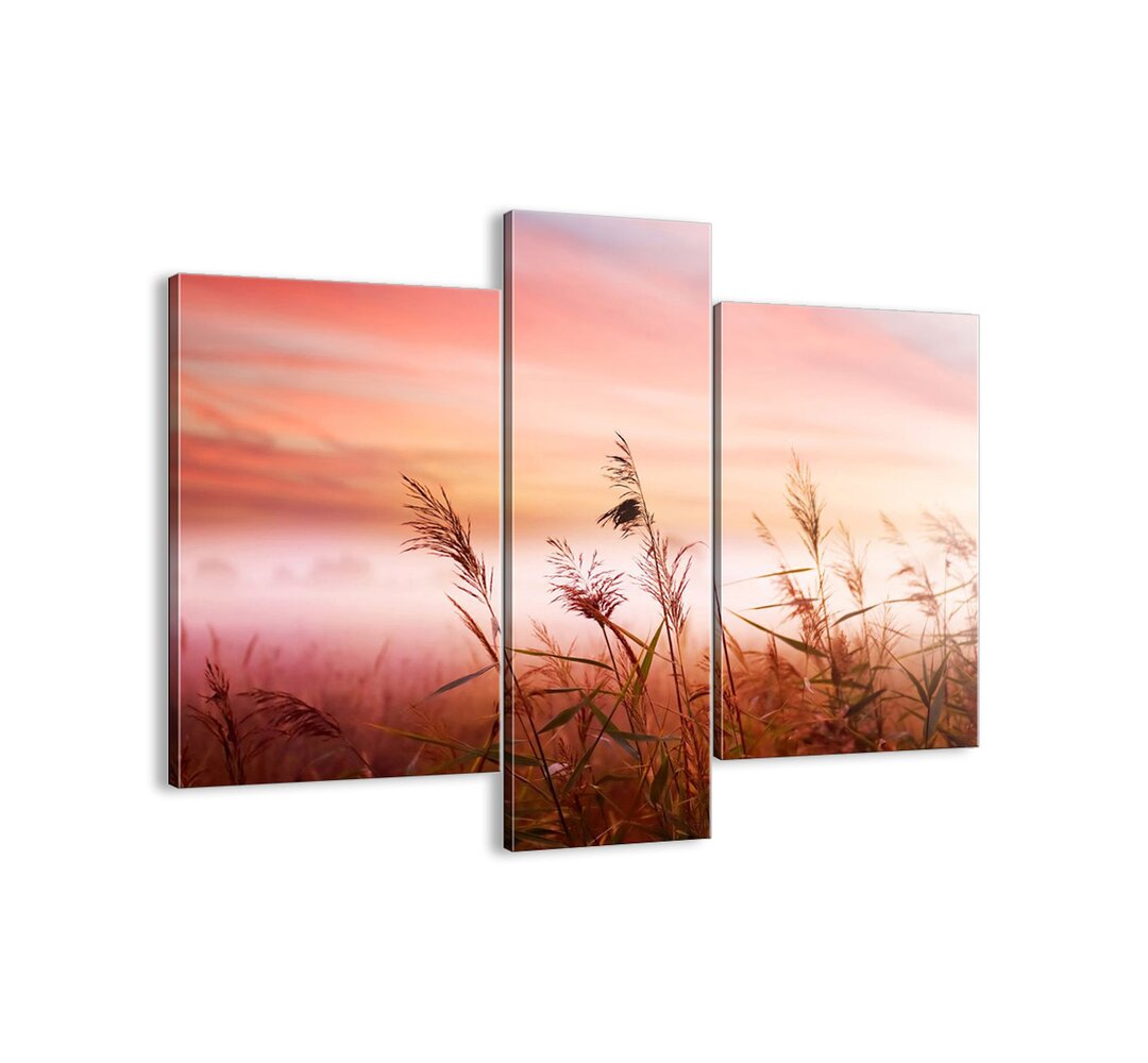 3-tlg. Leinwandbilder-Set - Fotografie „Kites, Dandelions, Wind”