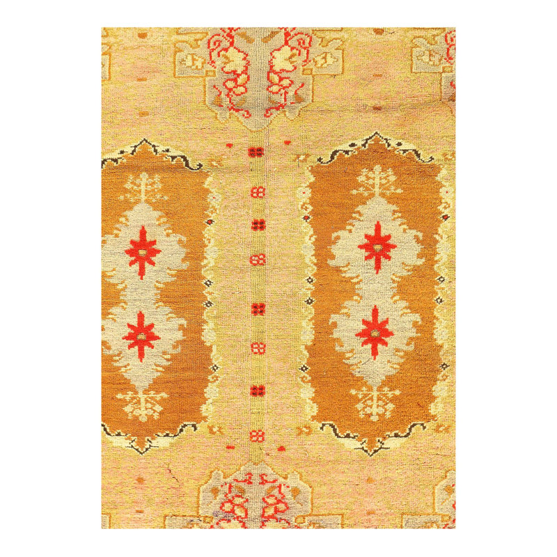 Oriental Area Rug in Beige