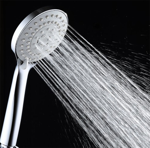 Esterbrooke Handheld Shower Head