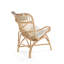 Aindriu Upholstered Armchair-21774507