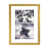 Gold Framed Fine Art Paper