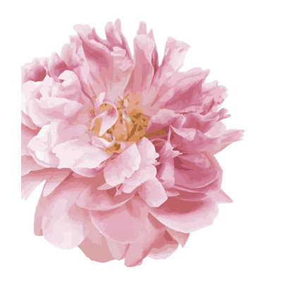 Plants & Flowers Non-Wall Damaging Wall Decal