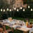 Tenia 11.5'' String Lights