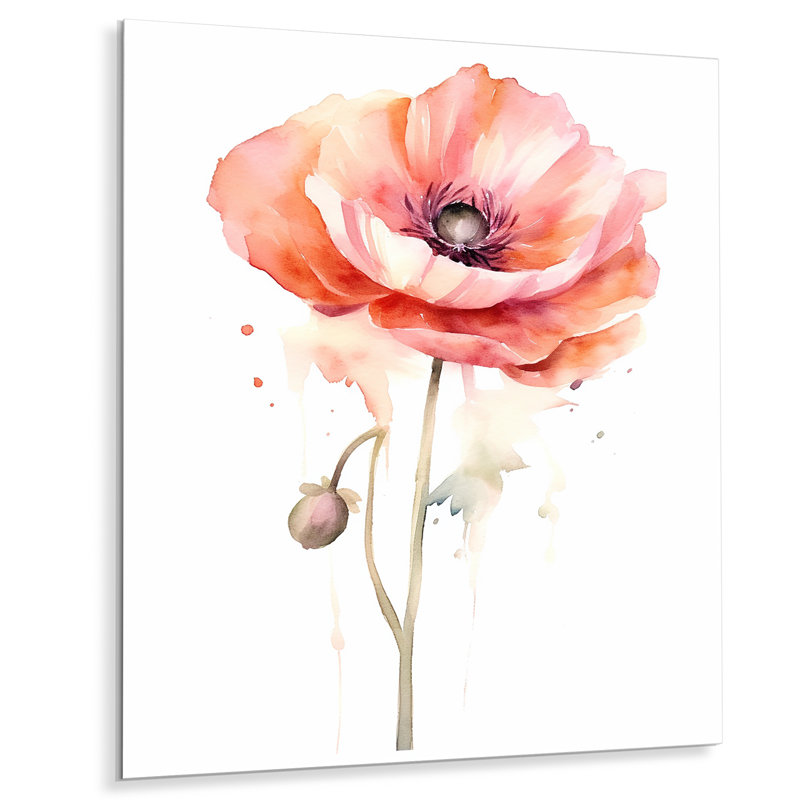 Ranunculus Gallery - Ranunculus Print on Metal, 40" H x 30" W x 1" D