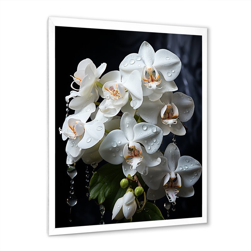 Pétales d'orchidées blanches élégantes sur toile, H 32 po x l 24 po x P 1 po, Cadre simple blanc