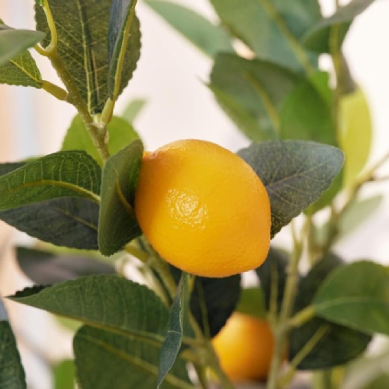 Citronnier artificiel avec plantes artificielles pour le sol, 23 x 23 x 59, jaune