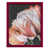 Rouge sélectionné