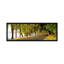 Des arbres panoramiques de chaque côté d’une route, lake washington boulevard, seattle, washington state, reproduction de photo sur toile tendue-1285986938-1215088705