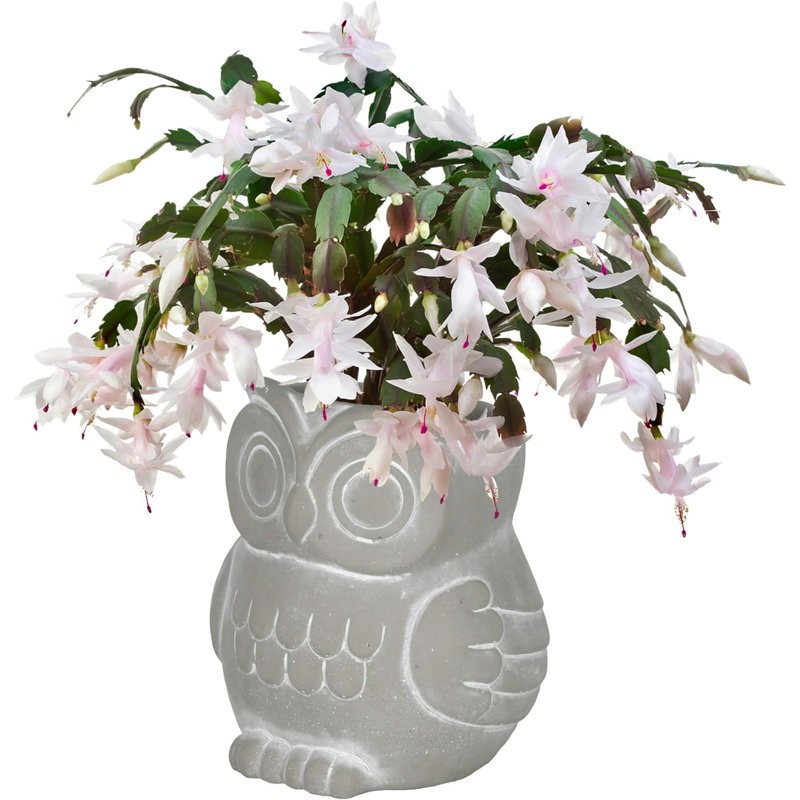 Gazim Statue Planter, 4.5" H x 4.5" W x 4" D, Gray