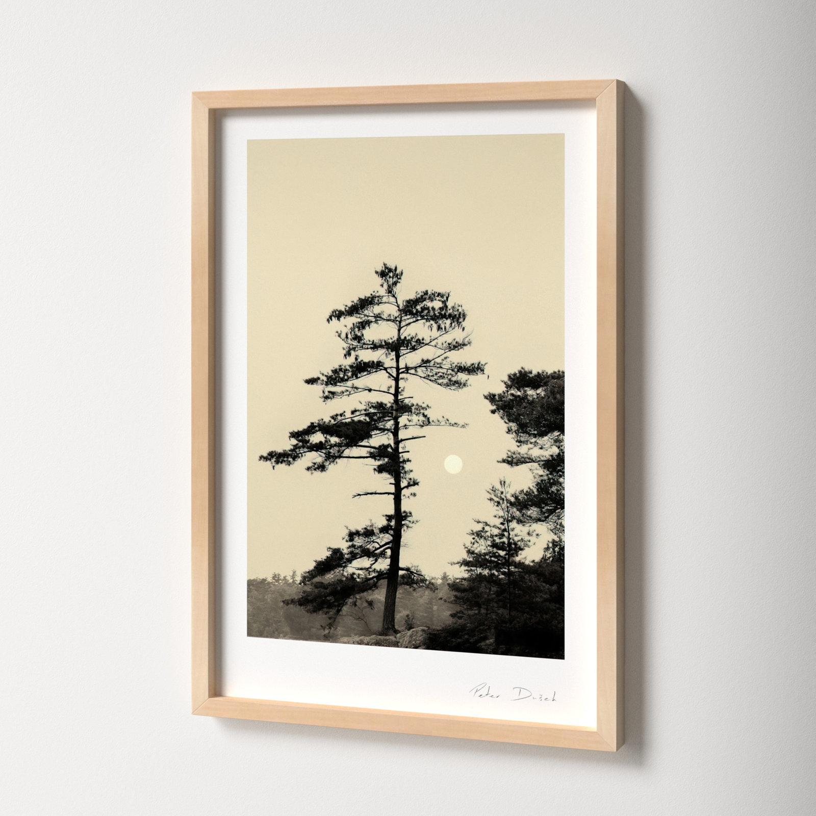Serenity by Peter Dušek, Brown, 25" H x 17.5" W x 1.25" D