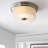 Burtrum Glass Flush Mount
