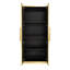 Cabinet Accent Cabinet