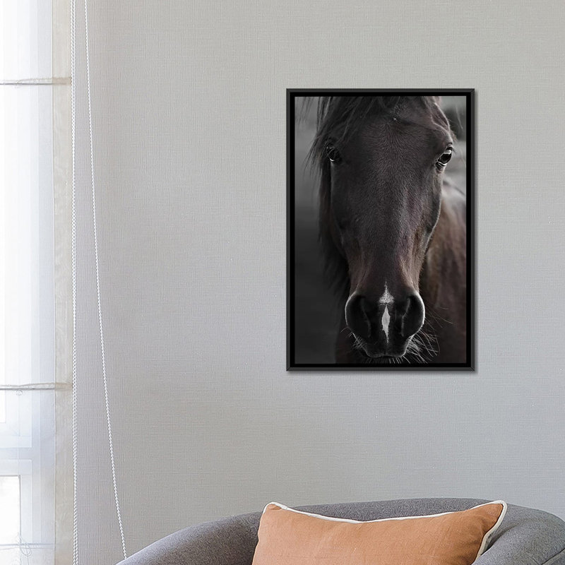 Imprimé cheval foncé par Monika Strigel, Pas de tapis, H 26 po x l 18 po x 1,5 po, Toile avec cadre noir