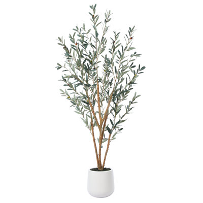 Adcock 84" Olive Tree in Pot