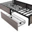 Cicley Storage Bed-1601367527
