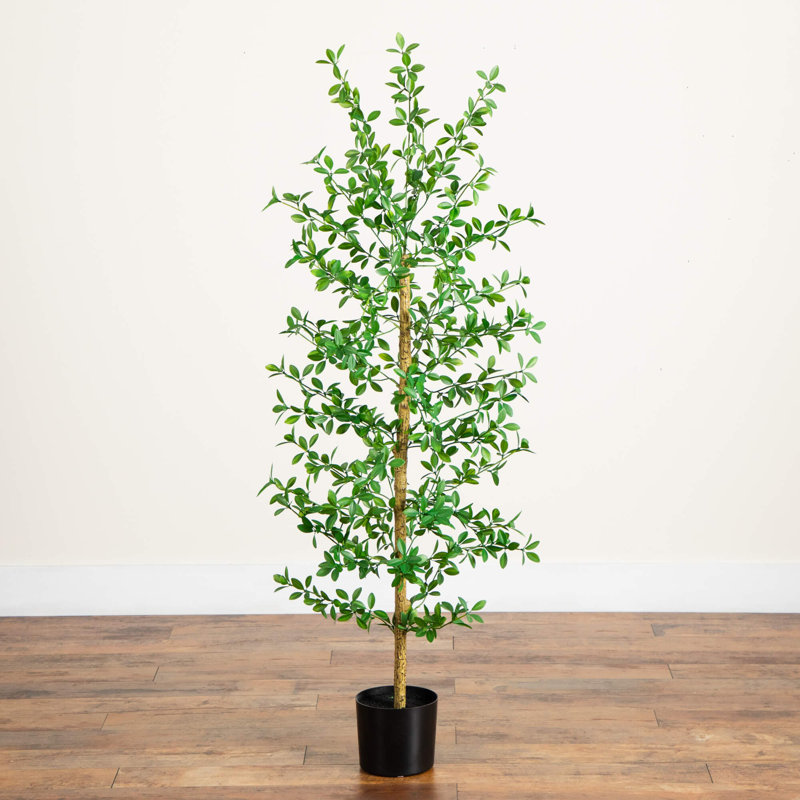 Artificial Shady Lady Black Olive Tree, 60" H x 20" W x 20" D