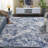 Emigsville Performance Performance Abstract Rug-1640840104