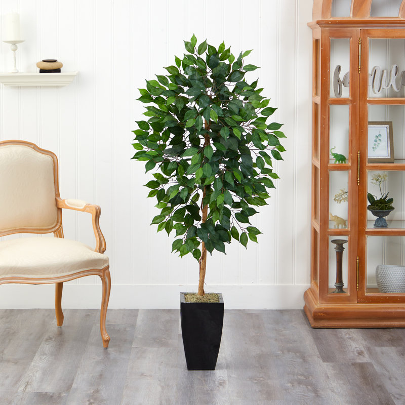 Ficus artificiel 54 po en pot, Noir
