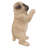 Pug Puppy Statue Praying