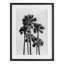«Black & White Palm Tropics», reproduction d'art sous verre encadrée par Natalie Carpentieri-2132849704-2132849707