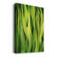 «Blades of Grass I», reproduction sur toile tendue-1641811411