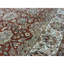 Wool Oriental Area Rug in Rust/Ivory