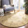 Molter Hand Tufted Wool Southwestern Rug